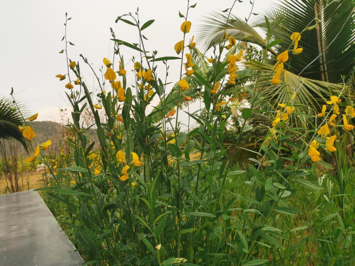 Cana​ Garden​ House​ โฮมสเตย์​ Holiday home Ban Khok